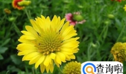 孕妇出现皮肤过敏的原因是什么？