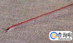 佛珠手串手链编织打结图解方法【横藻井结】