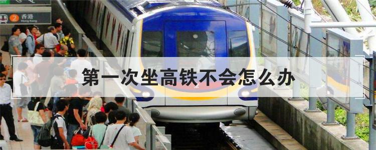 第一次坐高铁不会怎么办