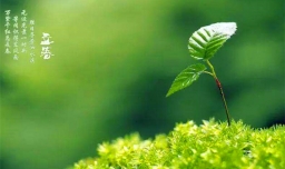 四季八节哪八个节