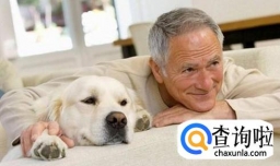 怎么养宠物才算负责