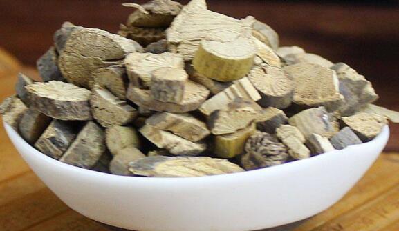 海风藤的功效与作用