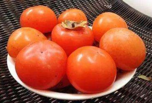 柿子的功效与作用