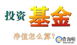 购买的基金净值怎么算