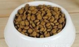 幼犬喂多少狗粮才合适