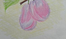 如何画儿童简笔画樱桃