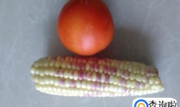 番茄玉米糍的做法