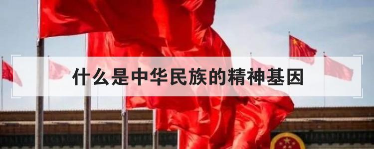 什么是中华民族的精神基因