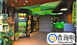 开一家宠物店需要多少钱