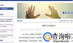 网联成立有什么影响