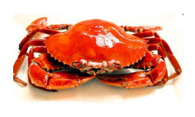 死螃蟹能吃吗