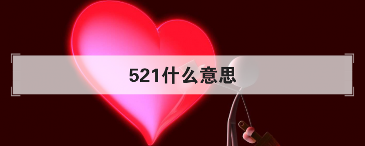 521什么意思
