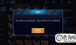 王者荣耀为什么被禁赛