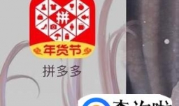 在手机上拼多多app怎么购物购物流程