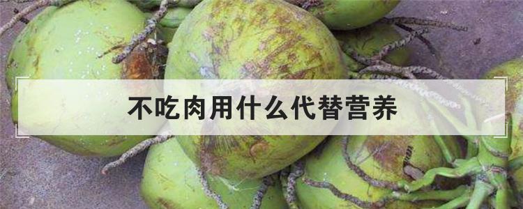 不吃肉用什么代替营养