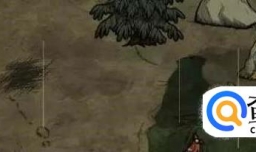 饥荒怎么弄宠物