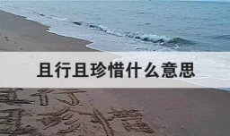 且行且珍惜什么意思