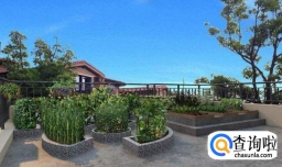 如何打造楼顶花园