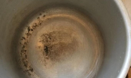 高压锅自制爆米花