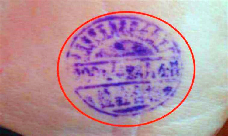 猪肉蓝章和红章的区别