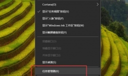 Nvidia显示设置不可用