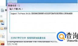 什么是磁力链接