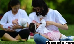 混合喂养可以染头发吗