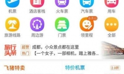 如何使用支付宝飞猪火车票优惠券如何购买火车票