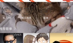 网易云音乐如何下载mv？