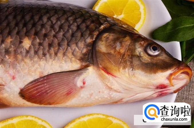 高考送什么吃的礼物寓意最好