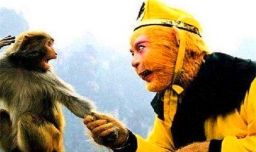 序齿排班什么意思