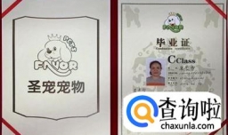 宠物美容师证怎么考