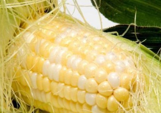 秋天喝什么去湿气