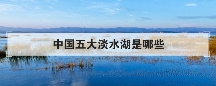 中国五大淡水湖是哪些