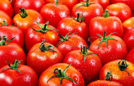 对眼睛最有益的十种食物