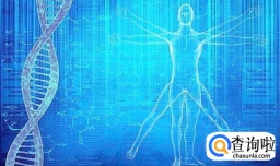 打篮球能长高吗