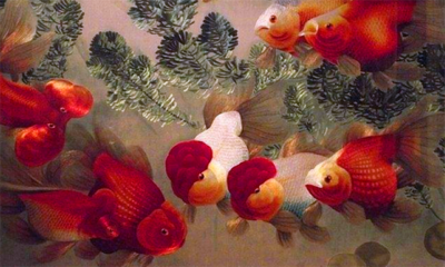 四大名绣有哪些