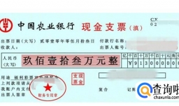 支票的填写方法——现金支票