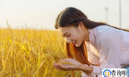 做梦梦见男朋友出轨怎么办