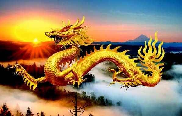 2024年属什么生肖