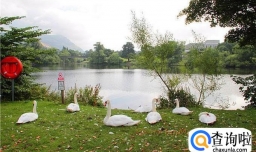 雅思6分可以申请斯特灵大学吗？