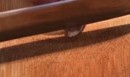 绿蒜的腌制方法