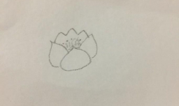 如何画出美丽的荷花