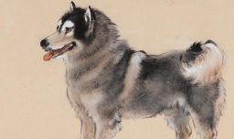 豺狼当道是什么生肖？