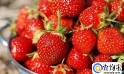 冬天草莓不洗可以放多久