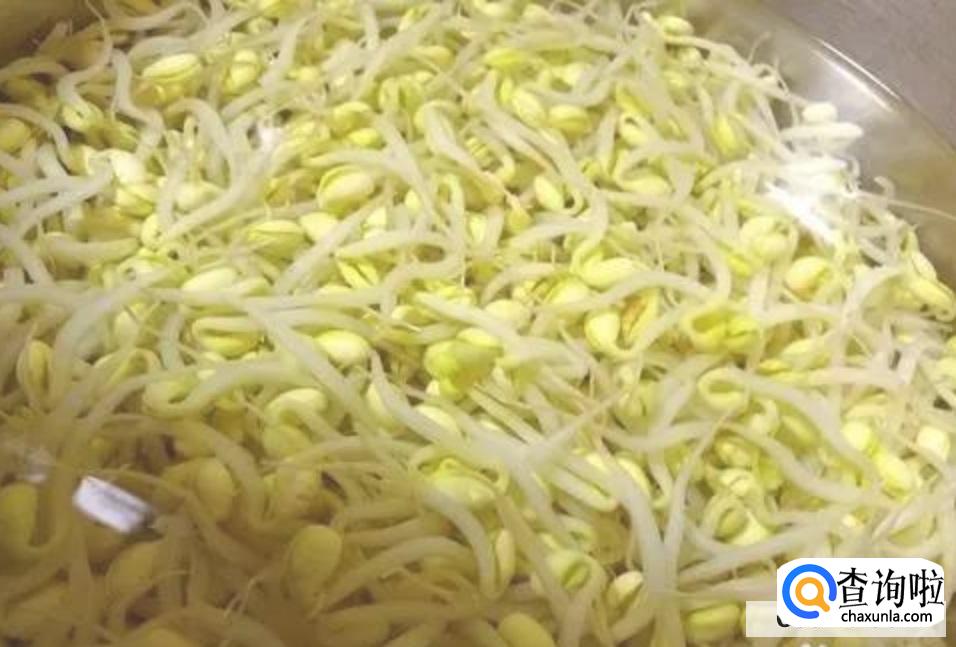 黄豆芽怎么做好吃