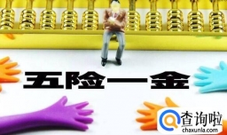 五险一金自己怎么交，五险一金自己交多少一个月