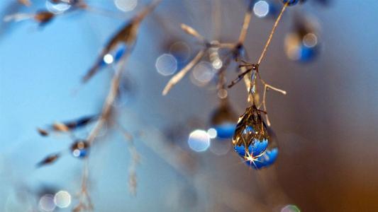 寒露节气有什么特点