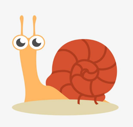 牙齿最多的动物是哪个动物