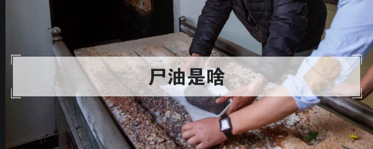 尸油是啥